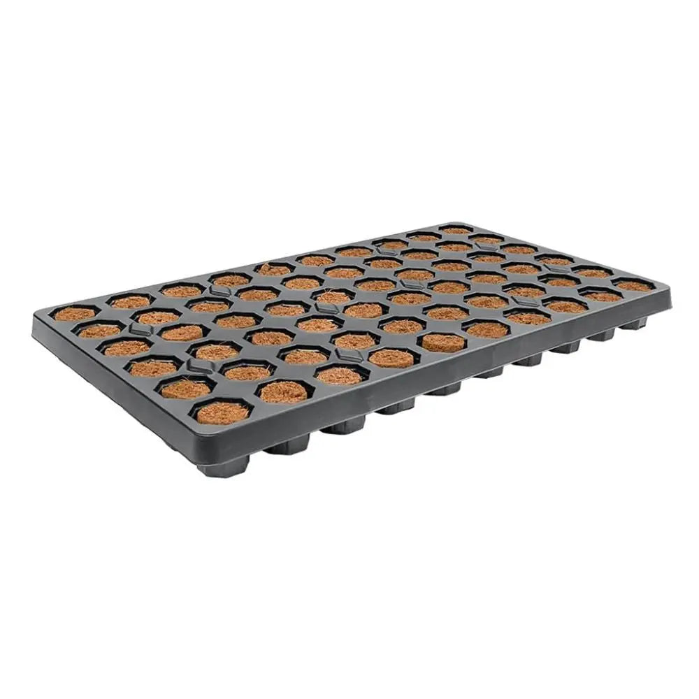 Root!t Dry Peat Free 60 Cell Filled Tray mit Pflanzgefäß, 52x30x4 cm Root!t