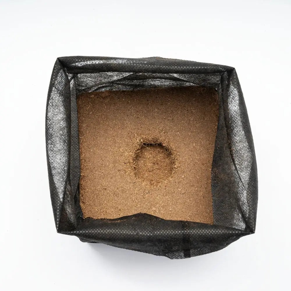 Growup! Coco Textiltopf mit dehydrierter Kokosnuss, 20er-Pack Growup! Coco