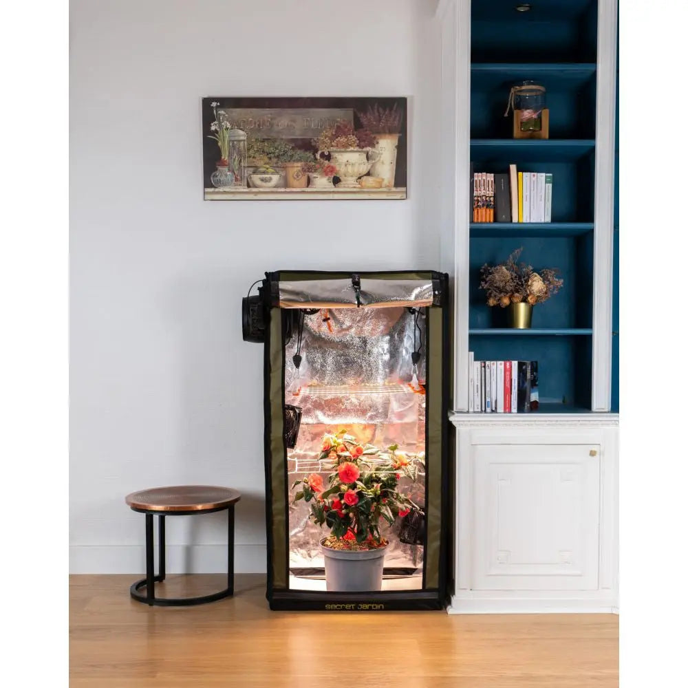 Secret Jardin FS100 For Twenty 60x40x116 cm Secret Jardin