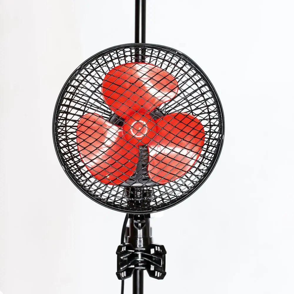 Urban Oscilfan 20W, oszillierender Ventilator mit zwei Geschwindigkeiten, Durchmesser 24 cm URBAN
