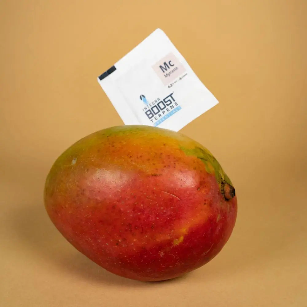 Integra Boost Terpene Essentials Myrcen 4 g, 62%, 1 Stk. Integra