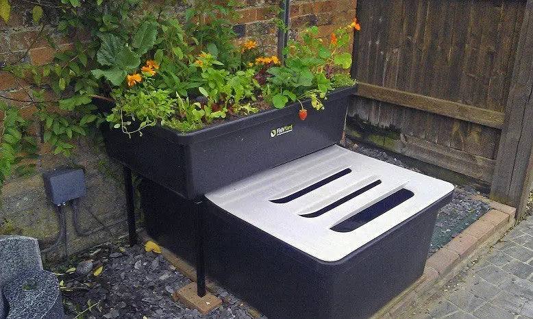 FishPlant Aquaponics Family Unit FishPlant