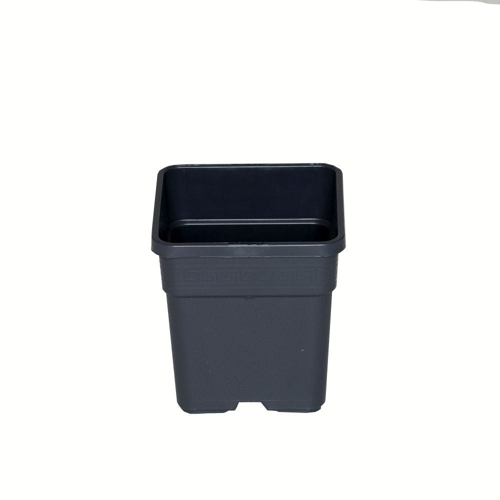 Wilma Blumentopf Plastik 11x11x19 cm - 1,65 l Wilma