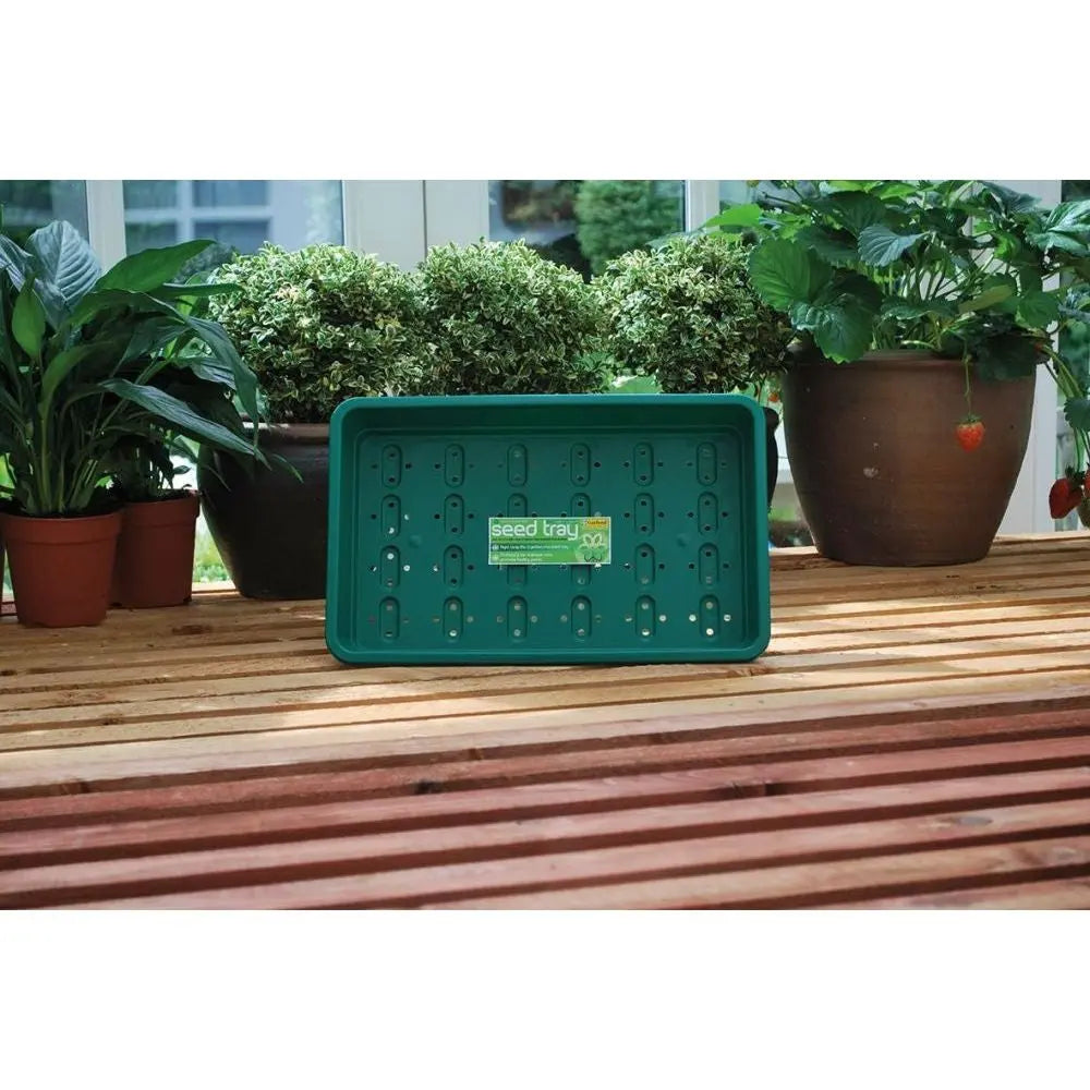 Garland Plastikschale Seed Tray Green mit Drainage 37.5x23x6 cm Garland
