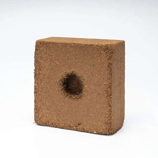 Growup! Coco Textiltopf mit dehydrierter Kokosnuss, 20er-Pack Growup! Coco