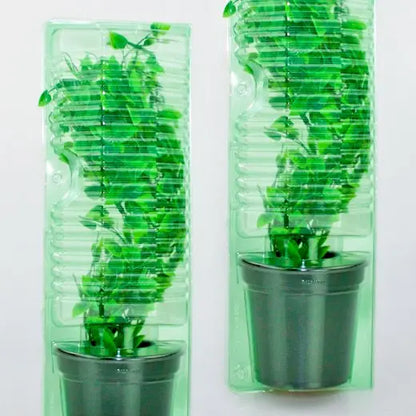 Steckling Versand Verpackung Growhub