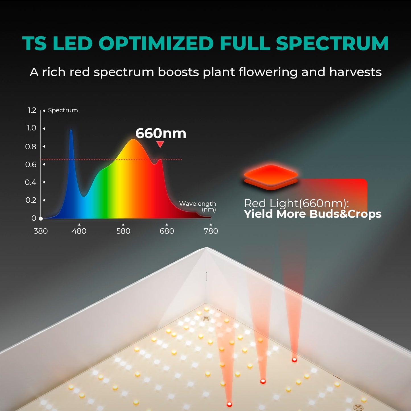 Mars Hydro TSL2000 Complete Grow Tent Kit | 300W LED Grow Light + 120x60x180cm Indoor Grow Tent + 4″ Ventilation System | Perfect Rectangular Lighting für 2-4 Pflanzen Growhub