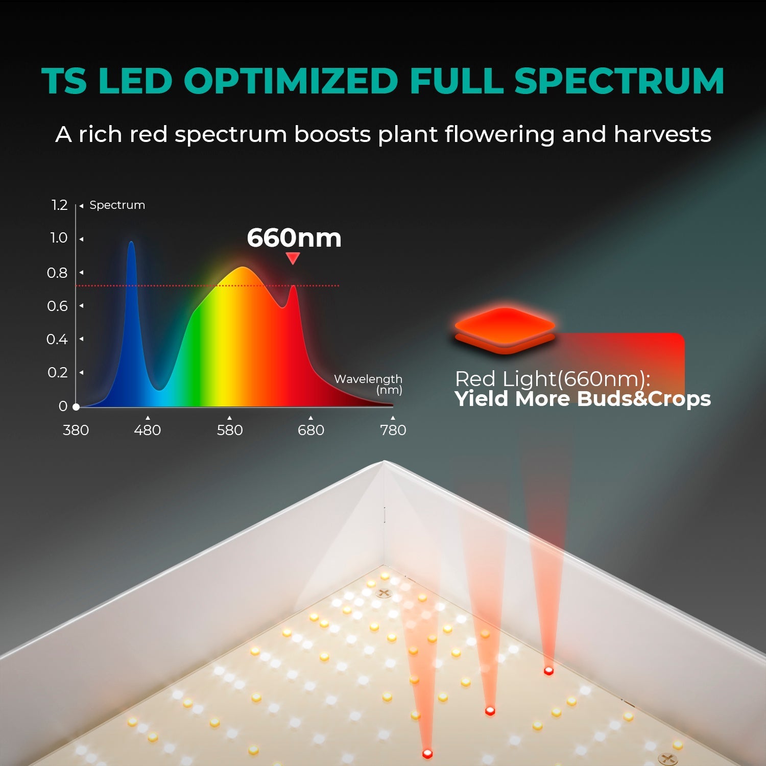 Mars Hydro TS 1000 Komplettes Grow-Zelt-Set Dimmbares 150W LED Grow-Licht+80x80x160cm Indoor-Zelt +4″ Belüftungssystem für 1-3 Pflanzen Growhub