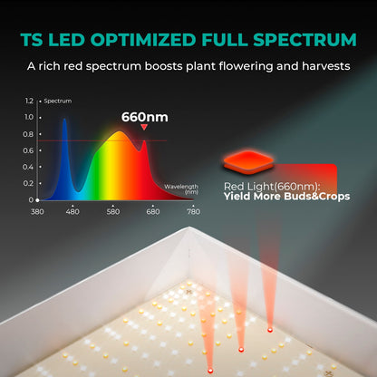 Mars Hydro TS 1000 Komplettes Grow-Zelt-Set Dimmbares 150W LED Grow-Licht+80x80x160cm Indoor-Zelt +4″ Belüftungssystem für 1-3 Pflanzen Growhub