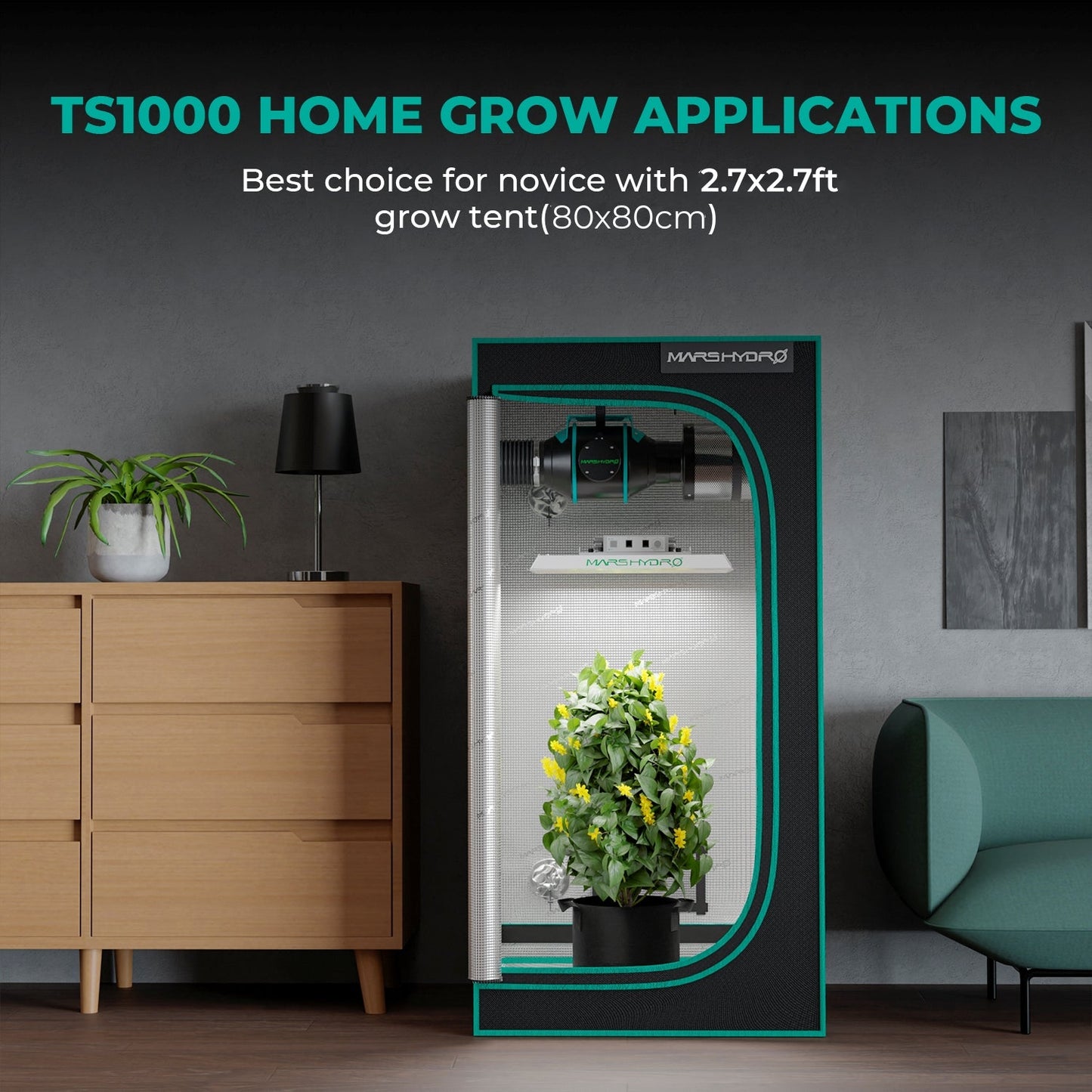 Mars Hydro TS 1000 Komplettes Grow-Zelt-Set Dimmbares 150W LED Grow-Licht+80x80x160cm Indoor-Zelt +4″ Belüftungssystem für 1-3 Pflanzen Growhub