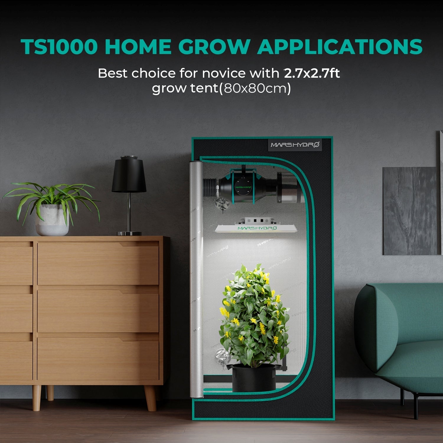 Mars Hydro TS 1000 Komplettes Grow-Zelt-Set Dimmbares 150W LED Grow-Licht+80x80x160cm Indoor-Zelt +4″ Belüftungssystem für 1-3 Pflanzen Growhub