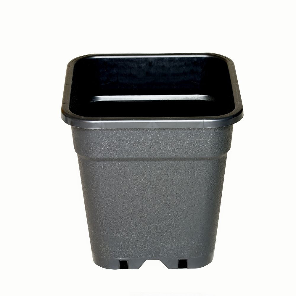 Wilma Blumentopf Plastik 31x31x32 cm - 18 l Wilma