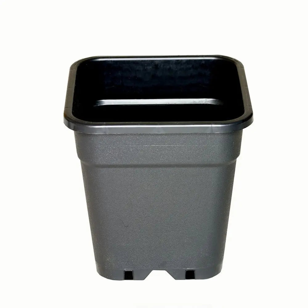 Wilma Blumentopf Plastik 31x31x32 cm - 18 l Wilma