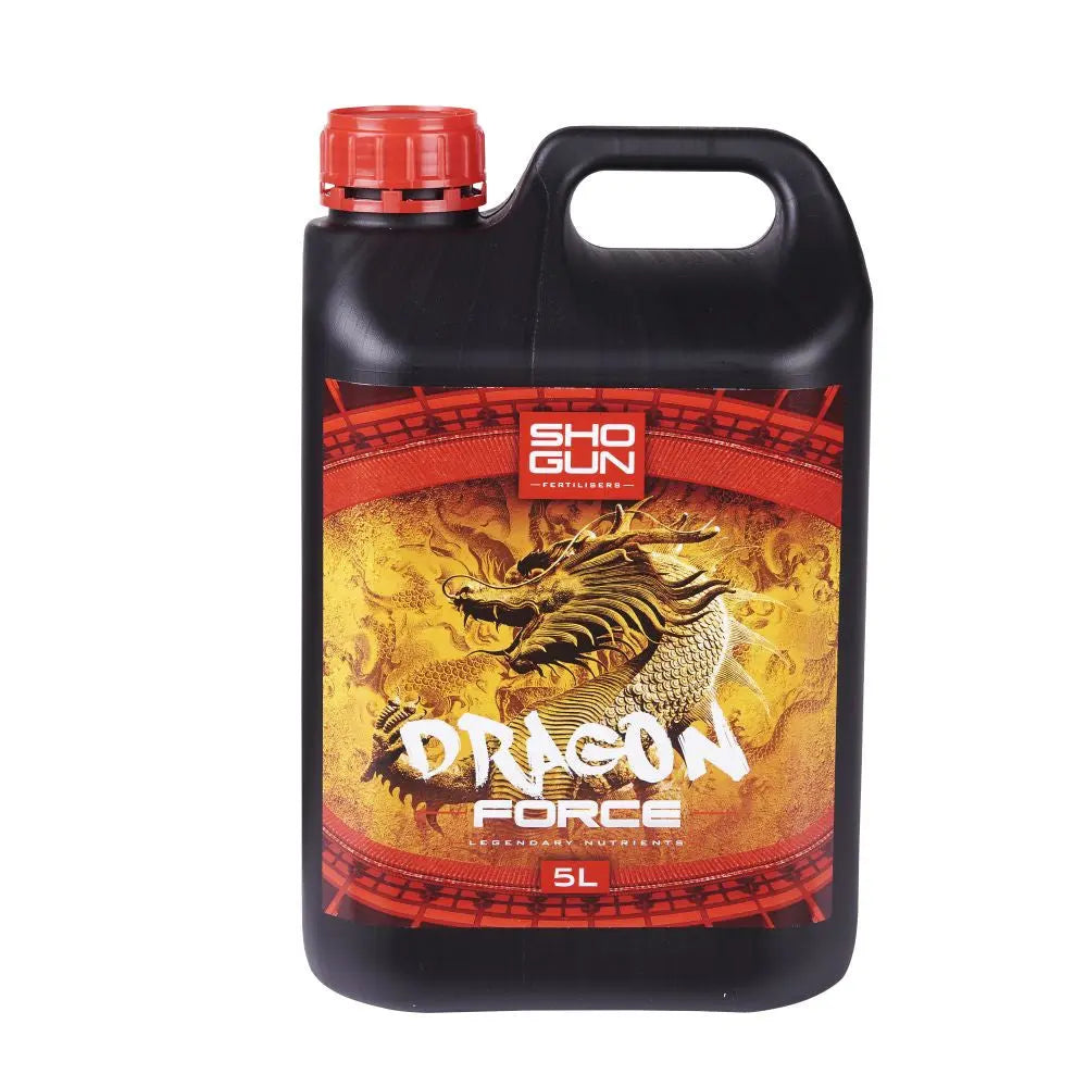 Shogun Dragon Force 5 l Shogun