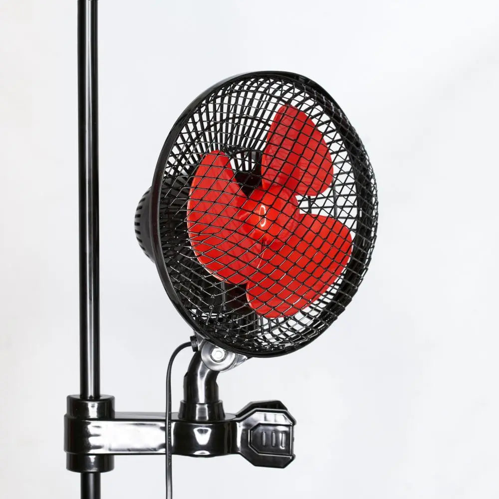 Urban Oscilfan 20W, oszillierender Ventilator mit zwei Geschwindigkeiten, Durchmesser 24 cm URBAN