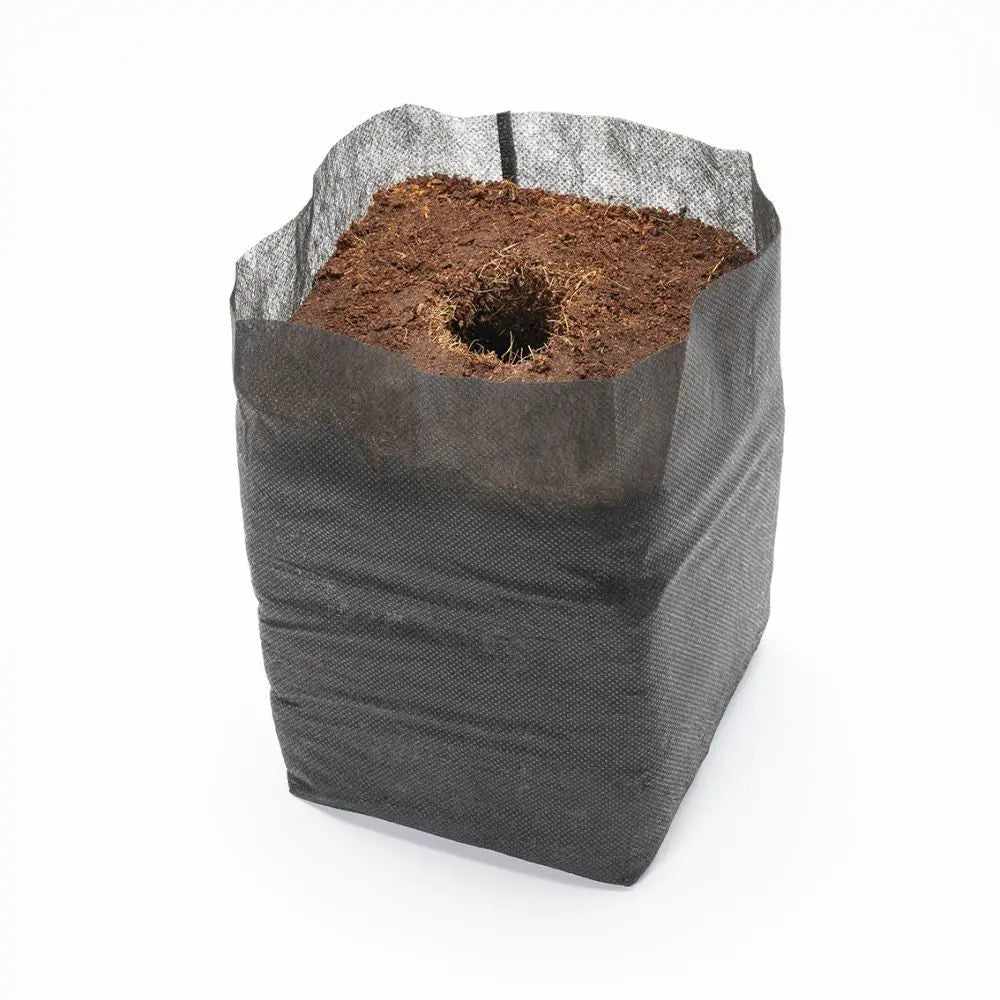 Growup! Coco Textiltopf mit dehydrierter Kokosnuss, 20er-Pack Growup! Coco