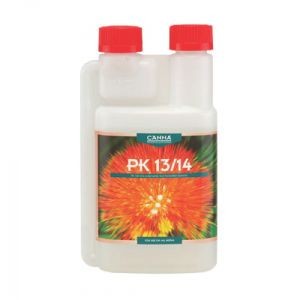 Canna PK 13/14 Canna