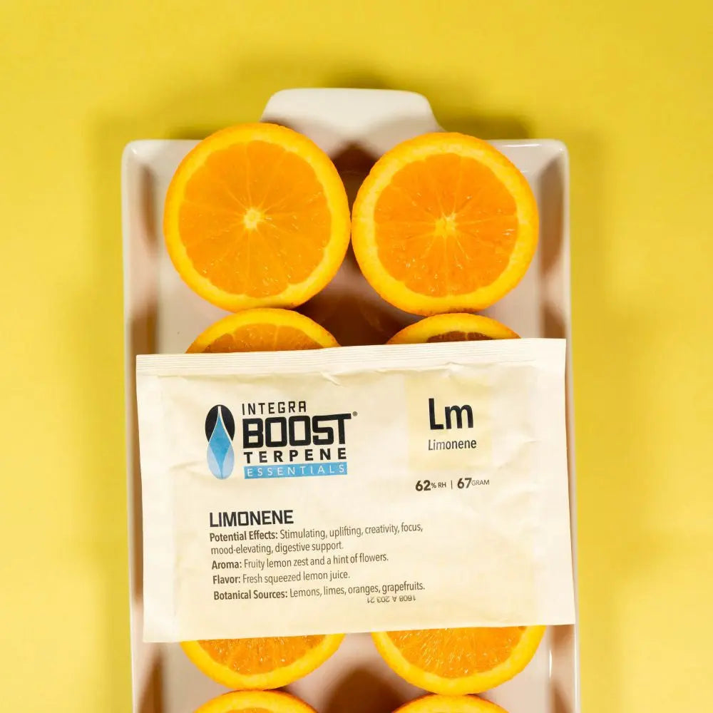 Integra Boost Terpene Essentials Limonen 67 g, 62%, 1 Stk. Integra