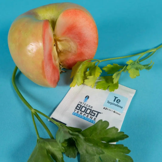 Integra Boost Terpene Essentials Terpinolen 4 g, 62%, 1 Stk. Integra