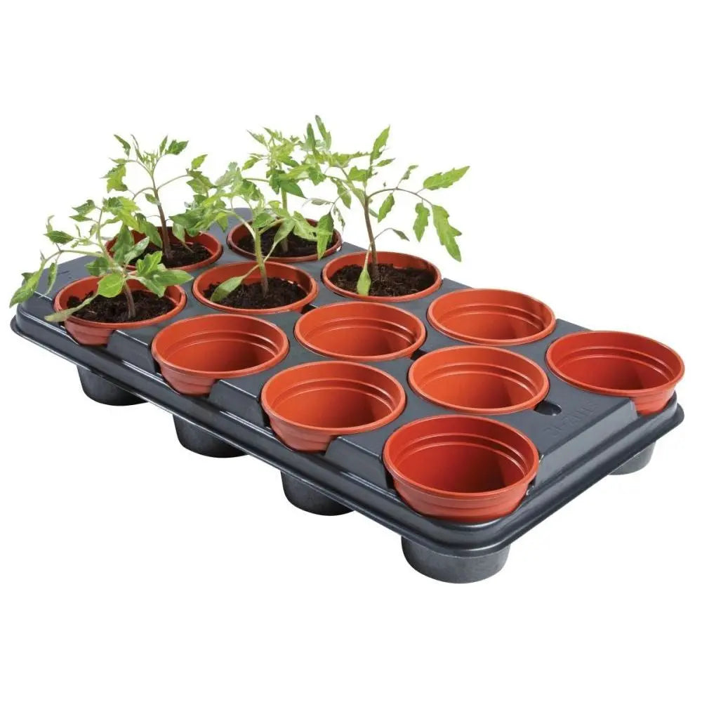 Garland Pflanzteller mit Töpfen Professional Growing Tray 12, 54x30.5x9.5 cm Garland