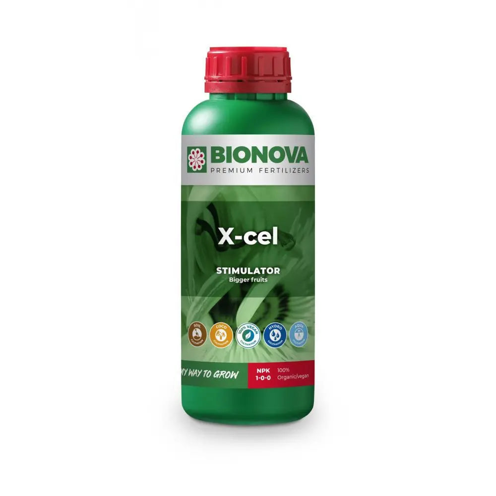 BioNova X-cel Booster 1 l BioNova