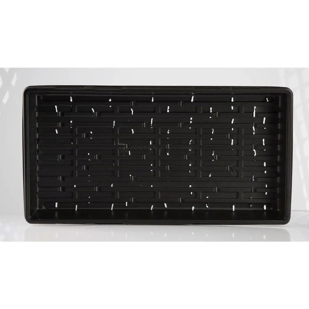 Microgreens Tray with drainage 54x28x6 cm Growmarket