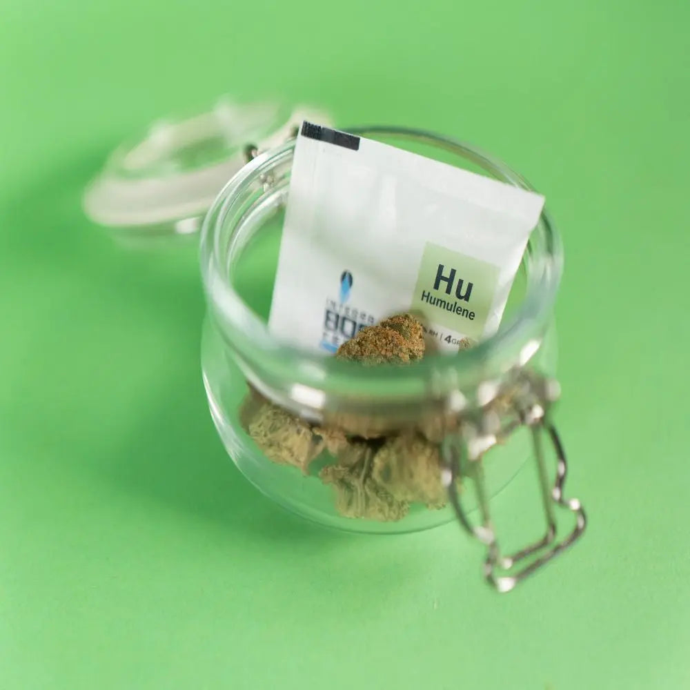 Integra Boost Terpene Essentials Humulen 4 g, 62%, BOX 48 Stk. Integra