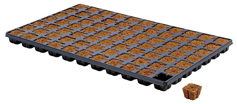 HGA Garden Eazy Plug CT77 Tray, 53x31x5 cm HGA Eazy Plug